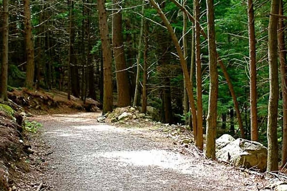 Hiker Talked Back onto Northwood, NH Park Trail by Fish & Game