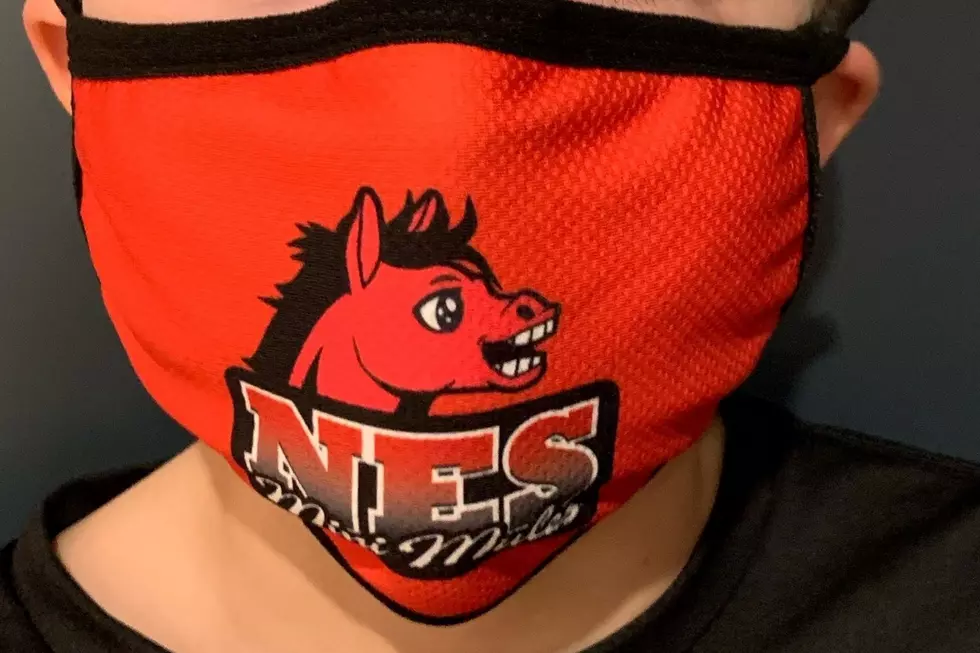 Newmarket Elementary School mask