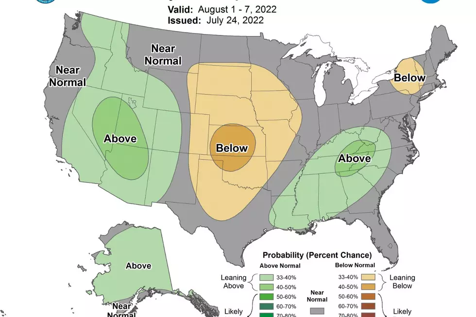 8-14 Day Precipitation Outlet 8/1-8/7