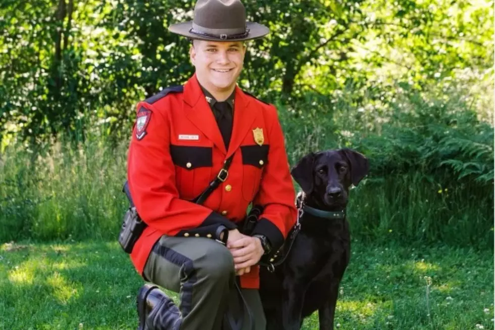 K9 Helps Locate Missing Rollinsford, NH, Woman in Maine Woods