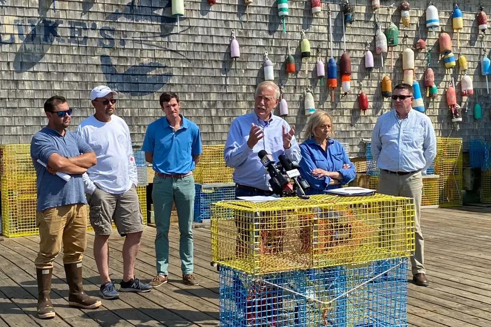 Maine Pols Defend Maine Lobstermen Over ‘Red List’ Designation