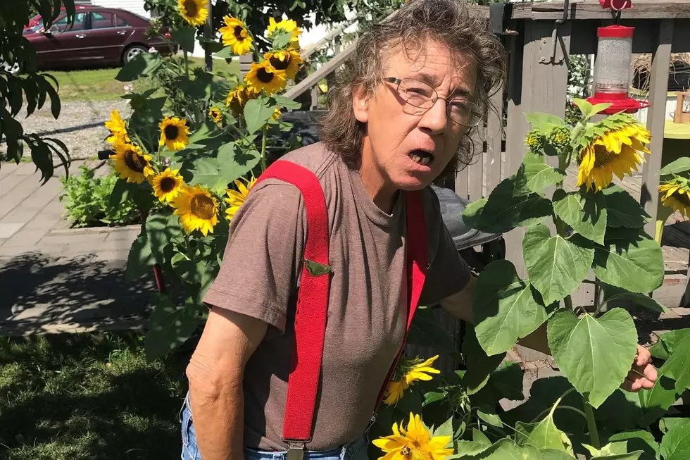 UPDATE: Missing Epping, New Hampshire, Woman Found Safe