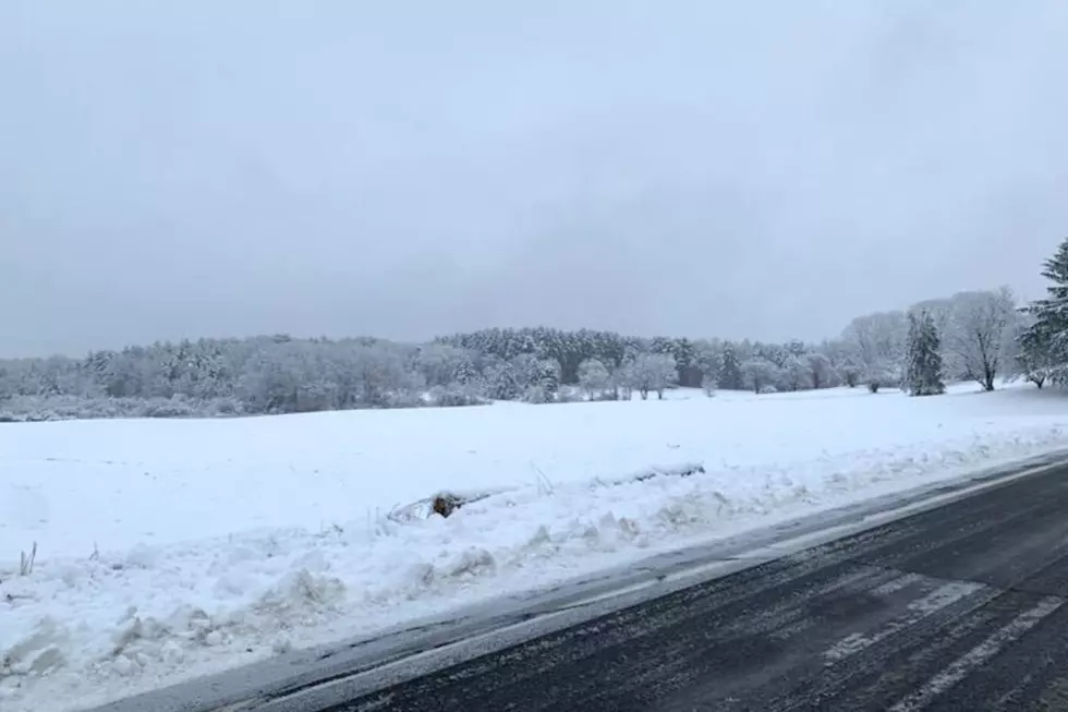 How Much Snow Fell on the New Hampshire, Maine Seacoast During the Winter Storm?