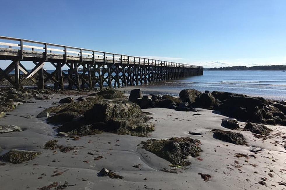 Jumpy Dogs Threatened at Kittery, Maine, Park