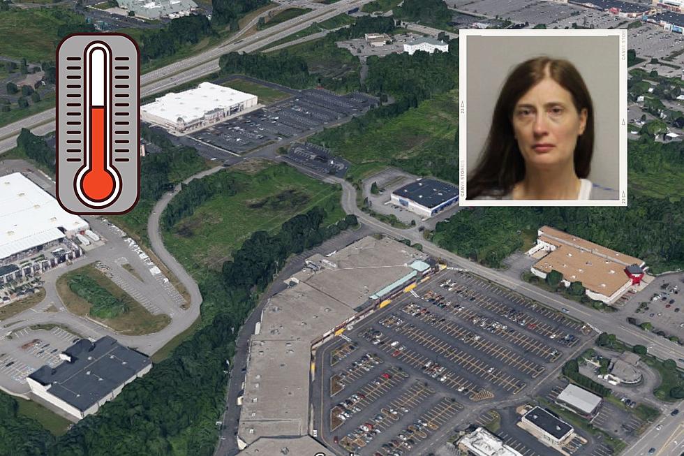 Dog Dies in Portsmouth, New Hampshire, After Being Left Inside Parked Vehicle