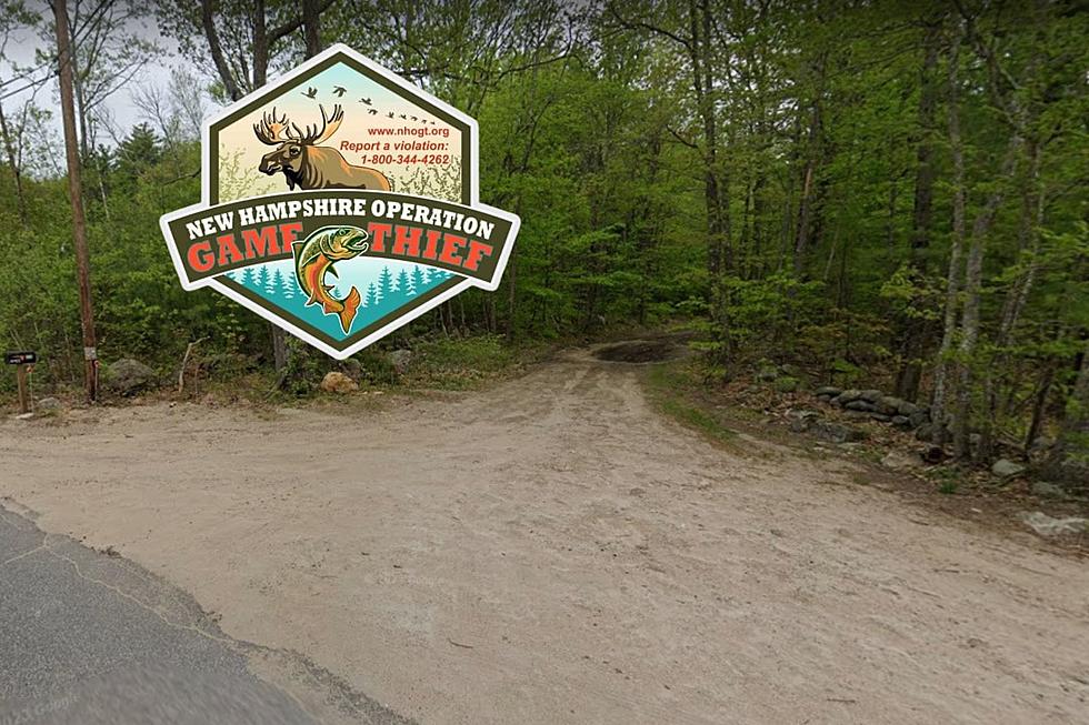 Middleton, New Hampshire, Man Dies After Being Pinned by ATV