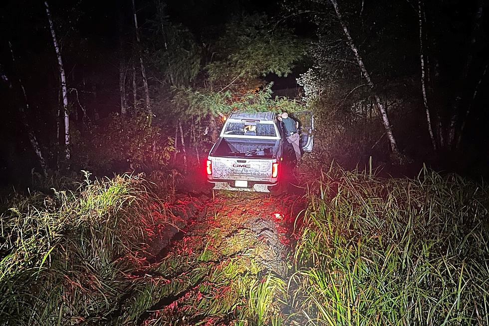 Pickup Driver Goes Down Embankment From Spaulding Turnpike Ramp in New Hampshire