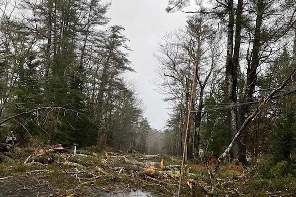 Power Restoration Continues in NH, ME, as Storm Winds Down