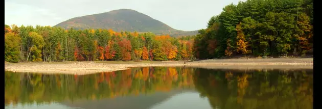 Possible Bigfoot Sighting in New York&#8217;s Catskills Mountains