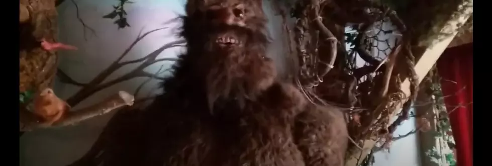 Nebraska Now Has A Government Approved Bigfoot Museum