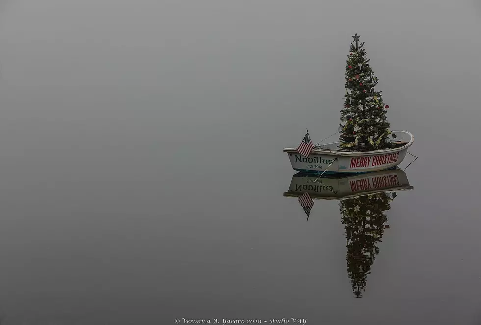 The Somber Reason Behind a Christmas Tree Floating Aimlessly in The Hudson River