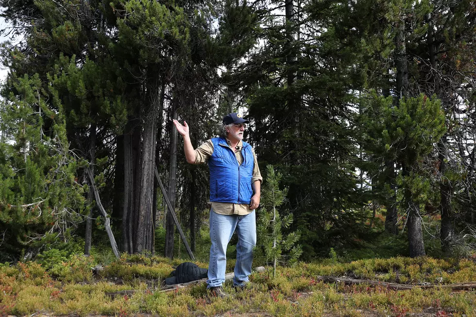 Montana Has Better Odds of Finding Bigfoot Than Winning Lottery