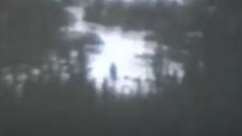 This 1962 Found Bigfoot Footage From Colorado May Finally Be Proof [Video]