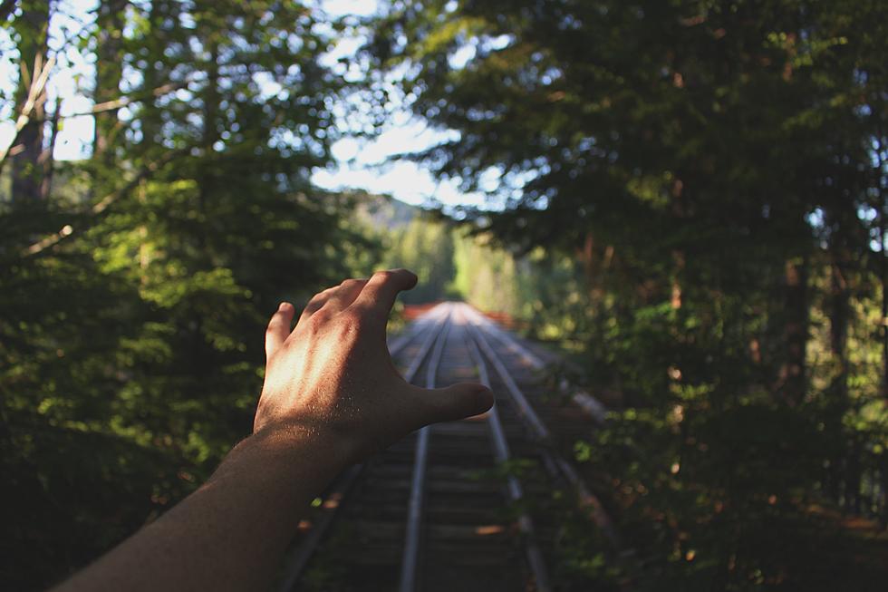 ‘Searching For Sasquatch’ is a Virtual Bigfoot Tour of Washington State