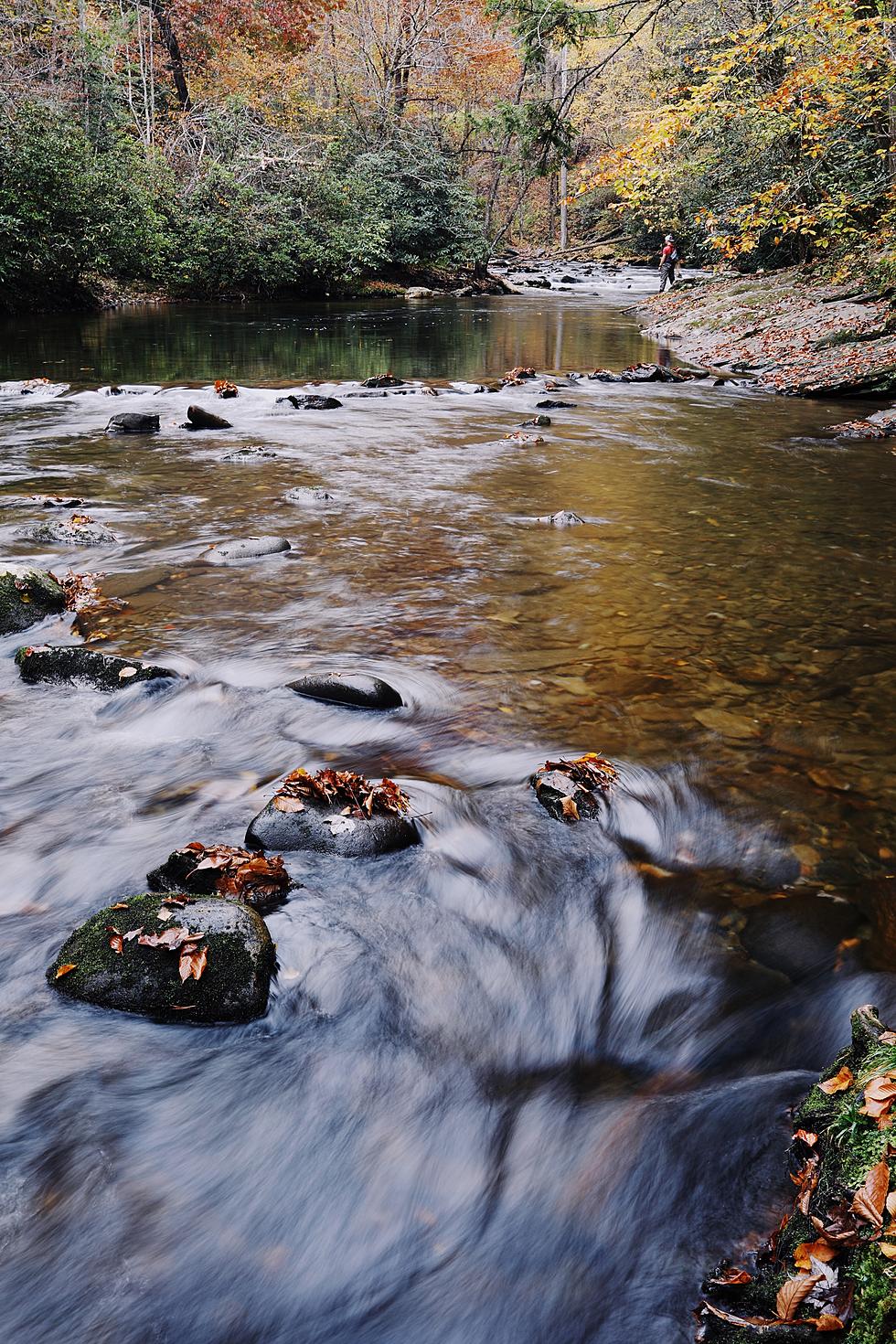 What You Need to Know About the Smoky Mountain Bigfoot Conference