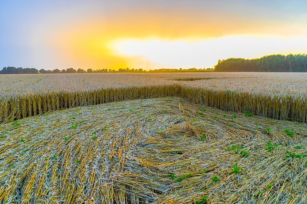 Crop Circle Enchants Those Who Saw It Appear Suddenly Near Monroe