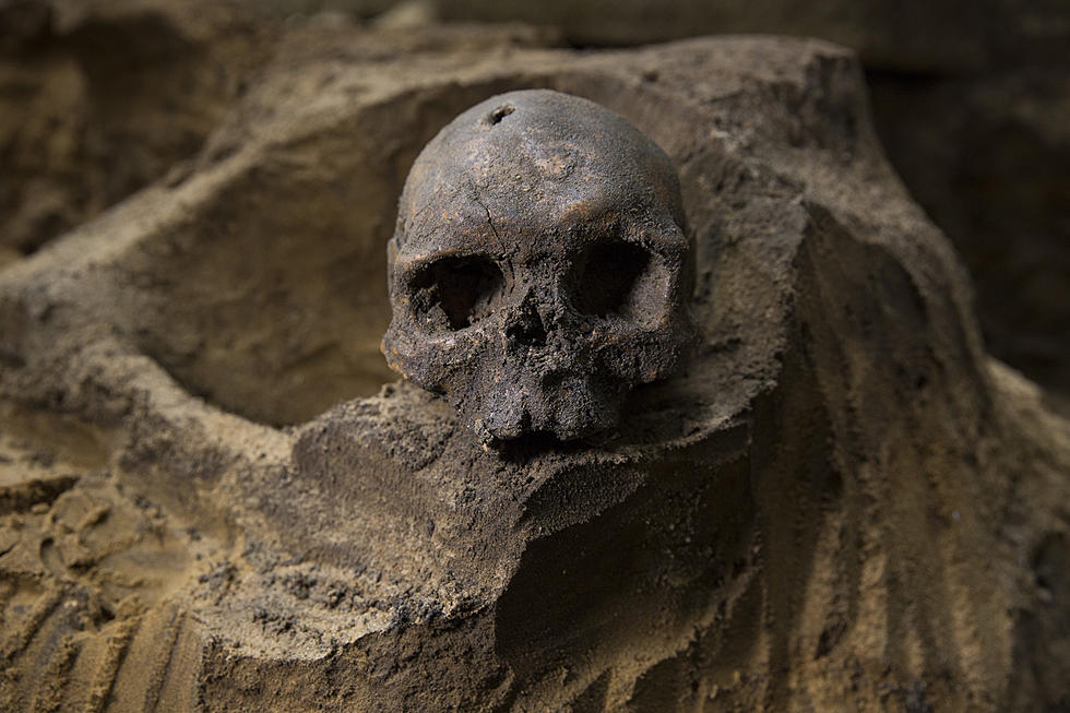 Skull Found Near Polson, Montana Does Not Belong to Modern Human
