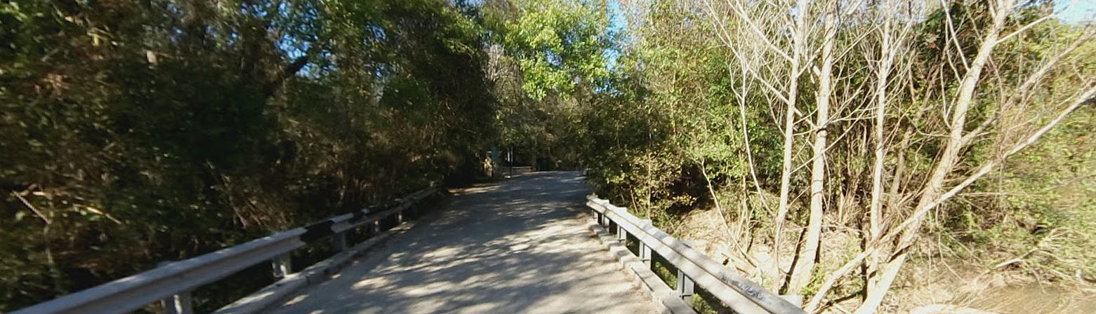 This Is The Real Story Behind Donkey Lady Bridge Near San Antonio image picture