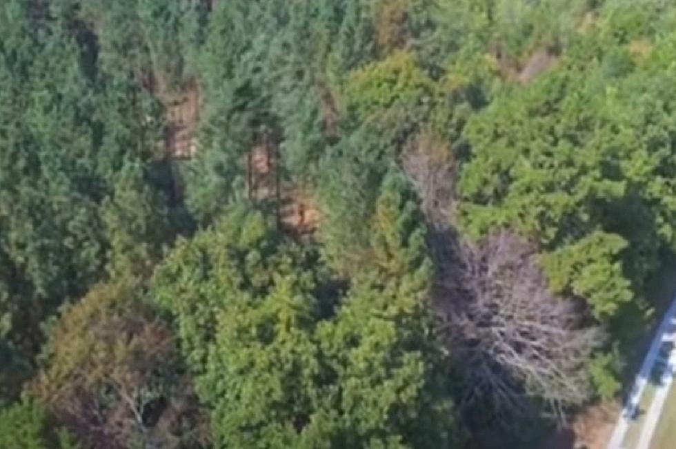 Eerie ‘Disturbance’ in Woods Outside Knoxville, Tennessee Might Be Bigfoot
