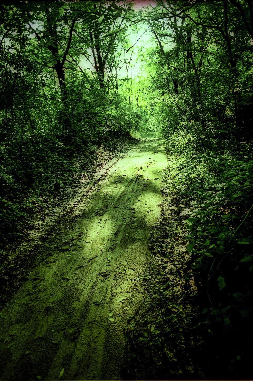 This Bigfoot Video from Michigan's Upper Peninsula Is Convincing 