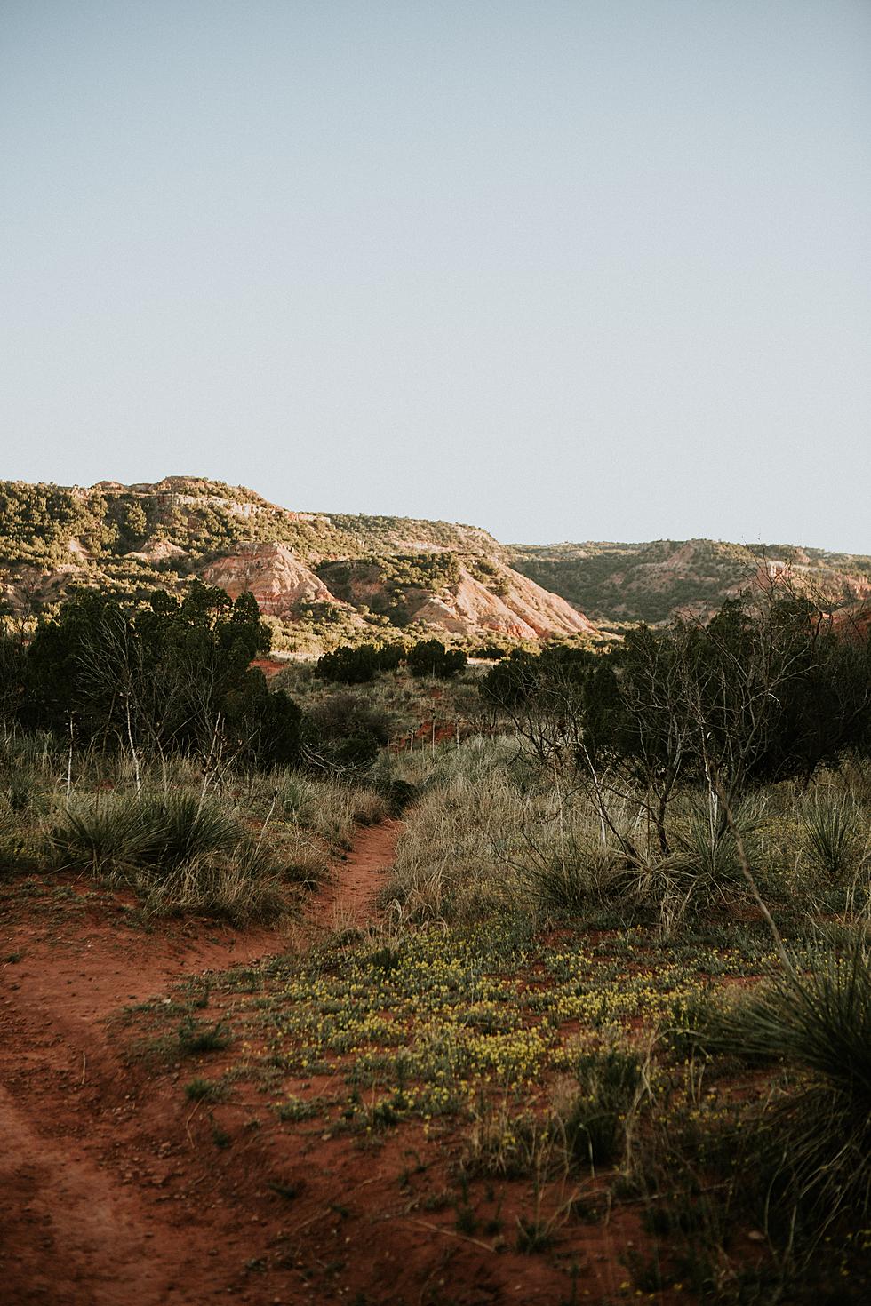 Locals Suspect Bigfoot Is Living Somewhere In Palo Duro Canyon in the Texas Panhandle