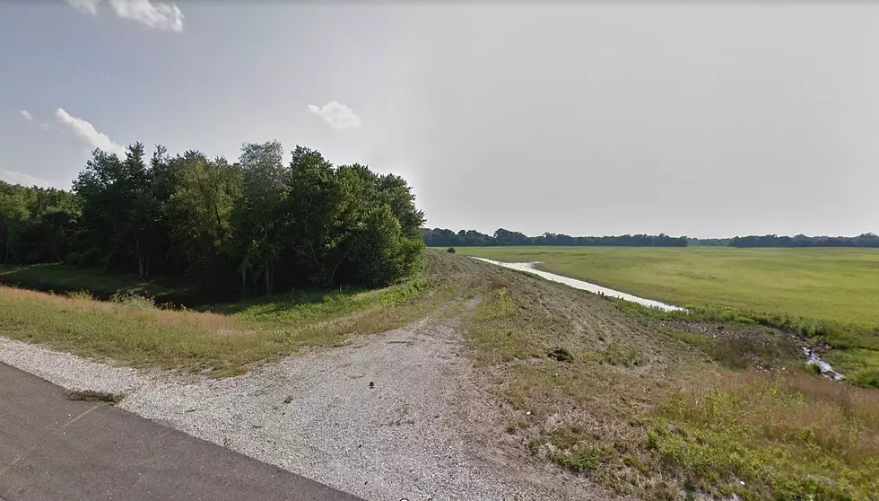 Bigfoot Recently Spotted Crossing this Central Illinois Road near Peoria