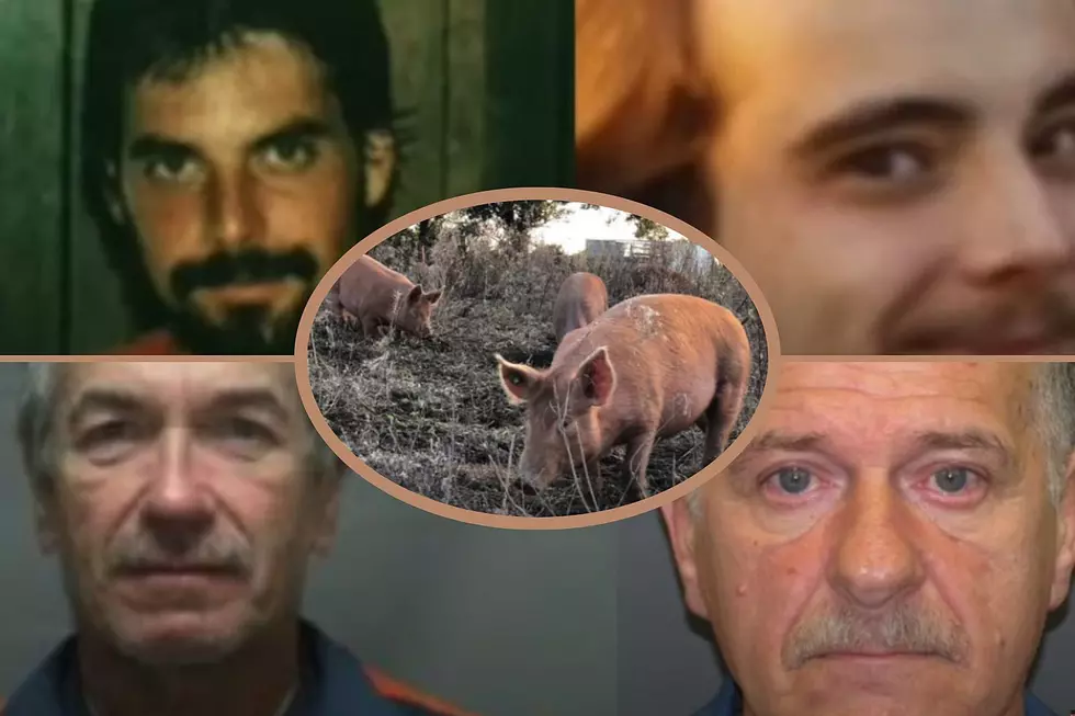 Gruesome Michigan Murder - Hunters Chopped Up and Fed to Pigs