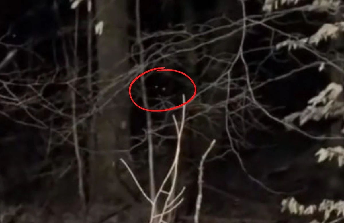 Michigan State Police: Have you seen Bigfoot?